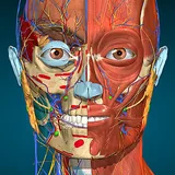 Anatomy Learning By Dr. Blanco icon