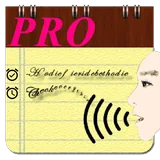 Voice Notes (Pro) icon