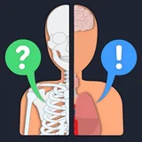 Anato Trivia icon