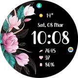 TVV Spring 2 Watch Face icon