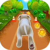 Pet Run icon