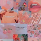 Aesthetic Wallpaper icon