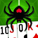Spider Solitaire icon