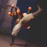 Kung Fu Fighting Champions icon