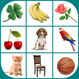 Picture Match icon