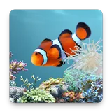 aniPet Aquarium (free) Live Wallpaper icon