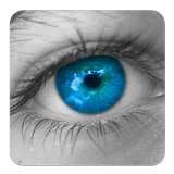 Color Touch icon