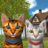 Cat Simulator icon