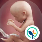 BabyCenter icon