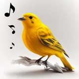 Bird Calls icon