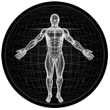 BodBot AI Workout Planner icon