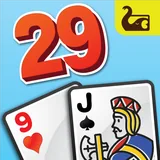 Twenty Nine icon