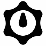Compass Overlay icon