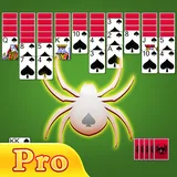 Spider Solitaire Pro+ icon
