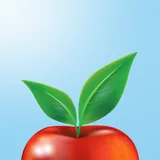 Food Diary icon