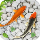 Fish Live Wallpaper 2023 icon