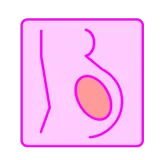 Pregnancy Calculator icon