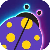 n11 icon