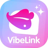 VibeLink icon