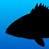 Fish Rules: Regulations & Maps icon
