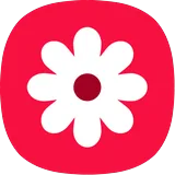 Gallery icon