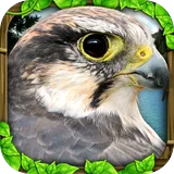 Falcon Simulator icon