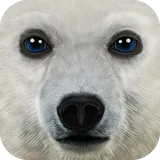 Ultimate Arctic Simulator icon