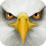 Ultimate Bird Simulator icon