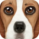 Ultimate Dog Simulator icon
