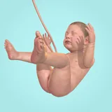 9 Months icon