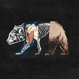 Aftershock icon