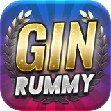Gin Rummy icon