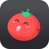 VPN Tomato icon