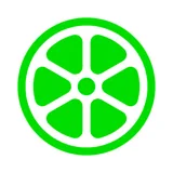 Lime icon