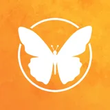 LogoFly icon