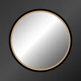 Mirror icon