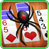 Spider Solitaire icon