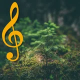 Sons da Natureza Para Relaxar icon