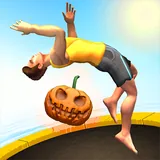 Flip Master icon