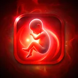 My pregnancy icon