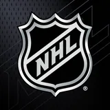 NHL icon