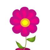 P Tracker icon