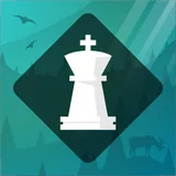 Magnus Trainer icon
