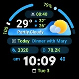 PRADO 96 Weather Watch Face icon