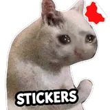 Stickers Cats Memes icon