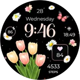 ReS28 - Seasonal Watch Face icon