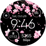 Seasonal Watch - Animated icon