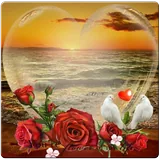 Love Photo Frames icon