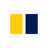 South China Morning Post icon