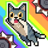 CatJump icon